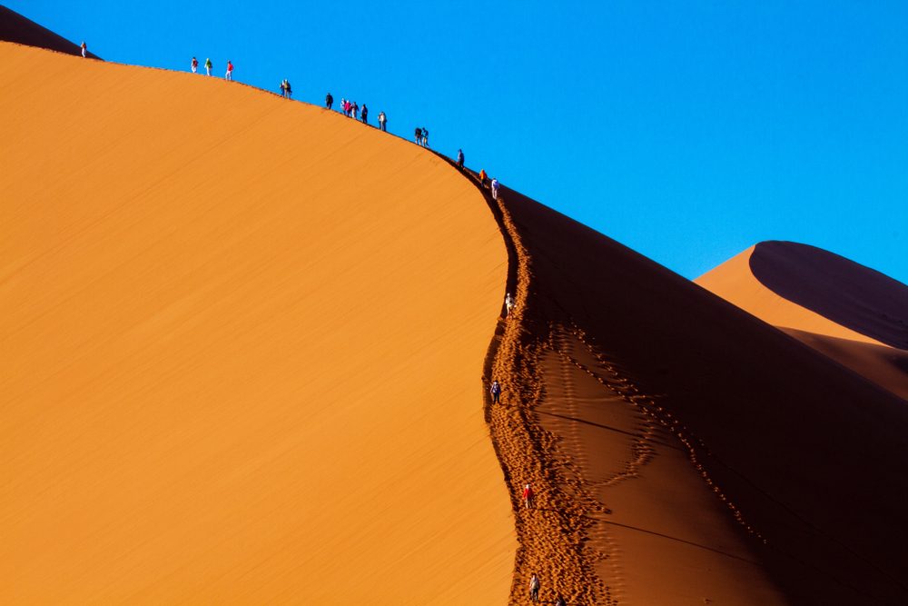 Namib Naukluft National Park Official Ganp Park Page